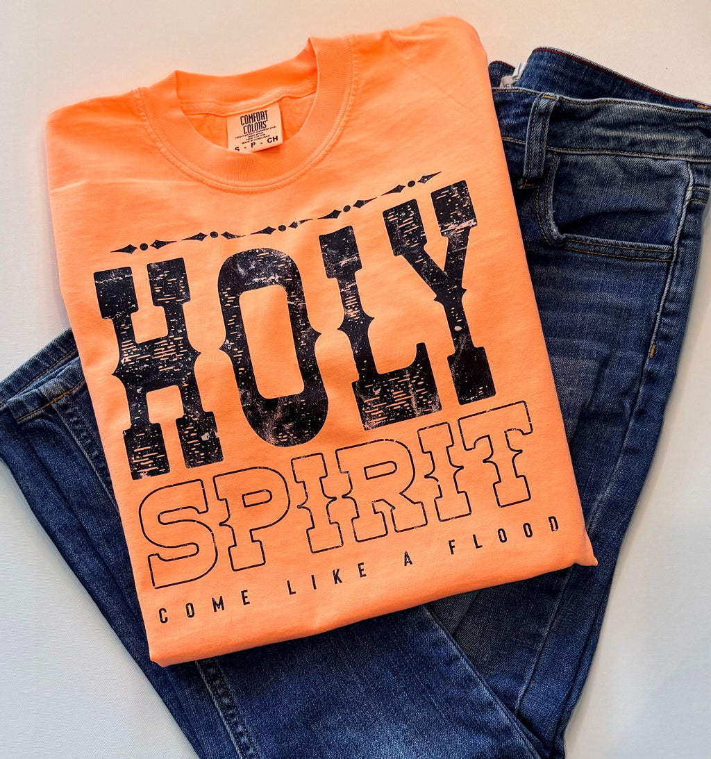 Holy Spirit Come Like A Flood
