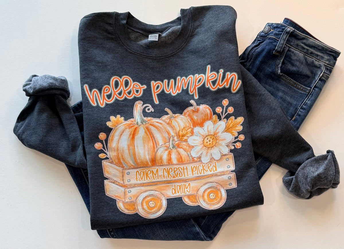 Hello Pumpkin Farm Fresh Graphic Sweatshirt – Gray | Free Shipping