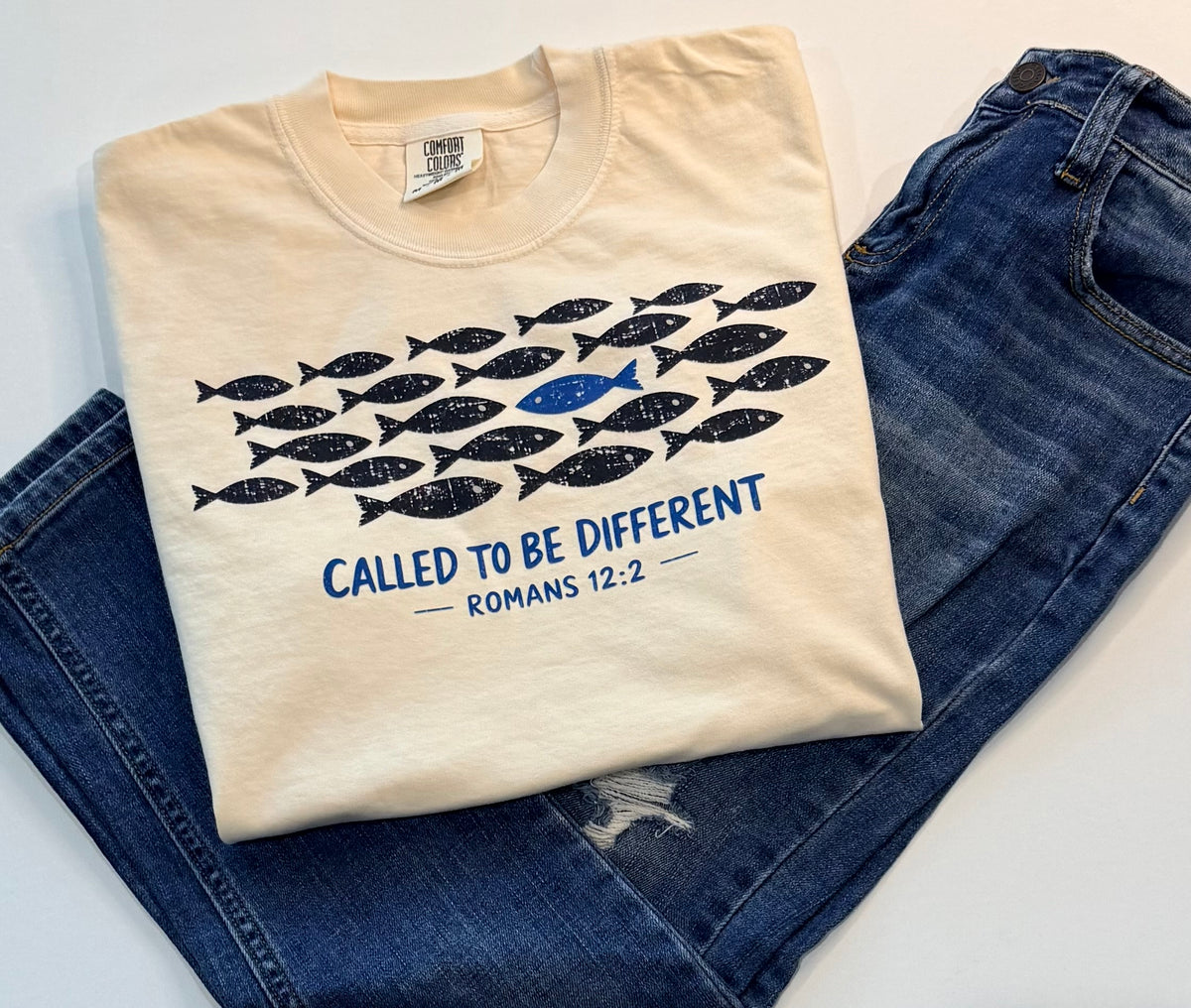 Called to Be Different Romans 12 Christian T-Shirt – Comfort Colors® | Free Shipping