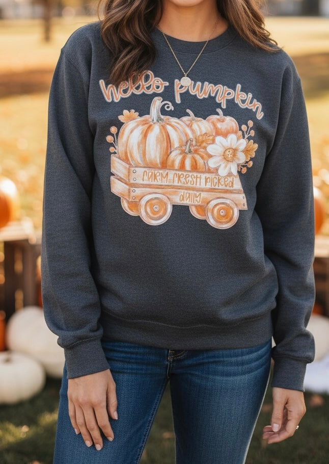 A woman wearing a dark charcoal gray sweatshirt with a 'hello pumpkin' autumn graphic featuring pumpkins in a wagon, paired with blue jeans in an outdoor fall setting.